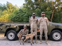 Wildlife Rangers