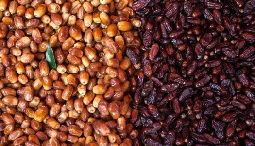 کھجور کی سالانہ پیداوارساڑھے 6لاکھ ٹن سے بھی تجاوز کرگئی