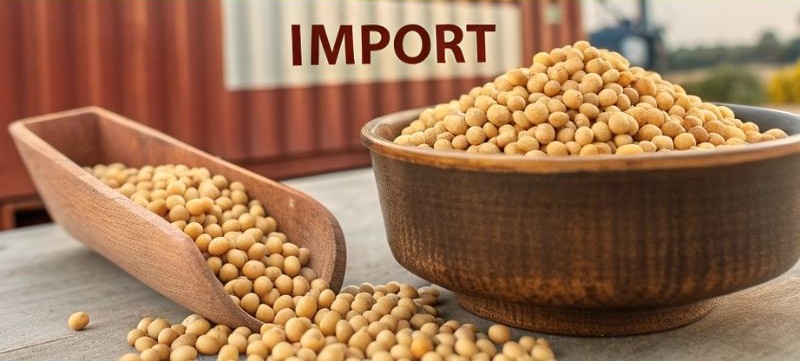 soybean imports