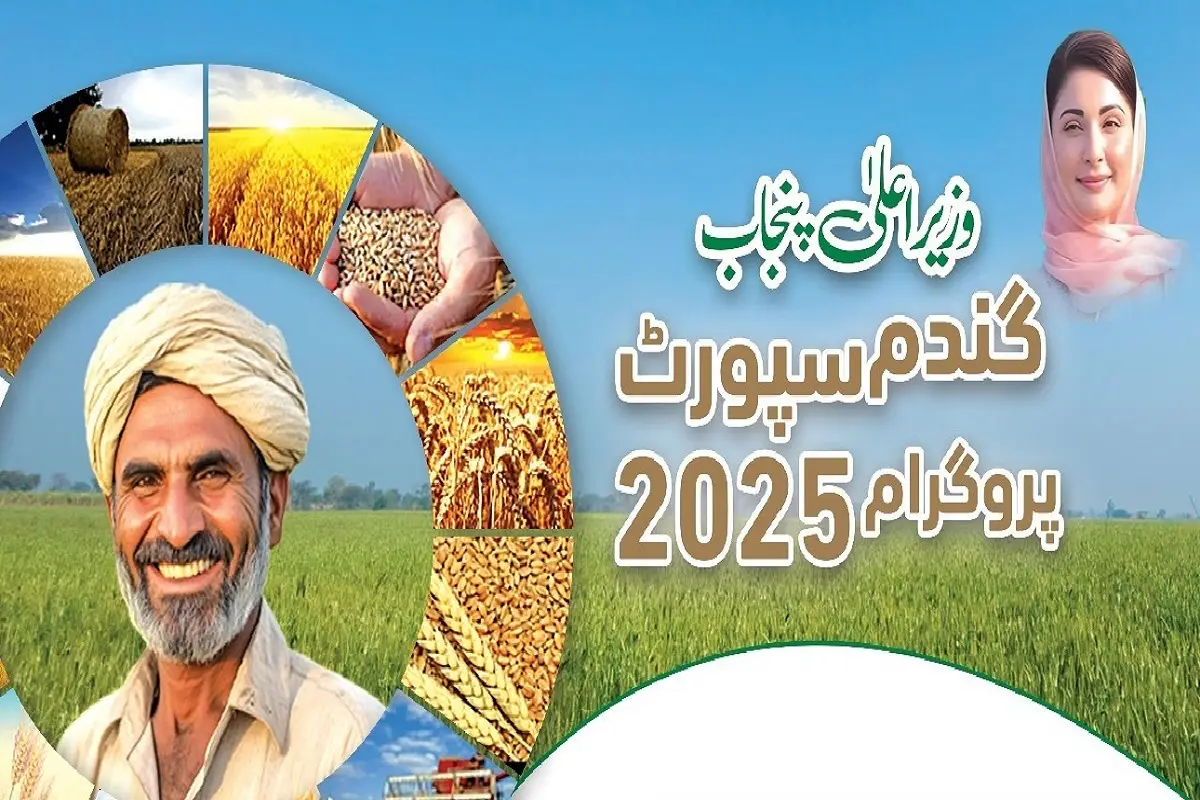 اسسٹنٹ ڈائریکٹر محکمہ زراعت سمبڑیال کا زیادہ گندم اگائو مہم کے تحت کسان تربیتی پروگرام