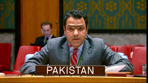 Pakistani delegate Gul Qaiser Sarwani