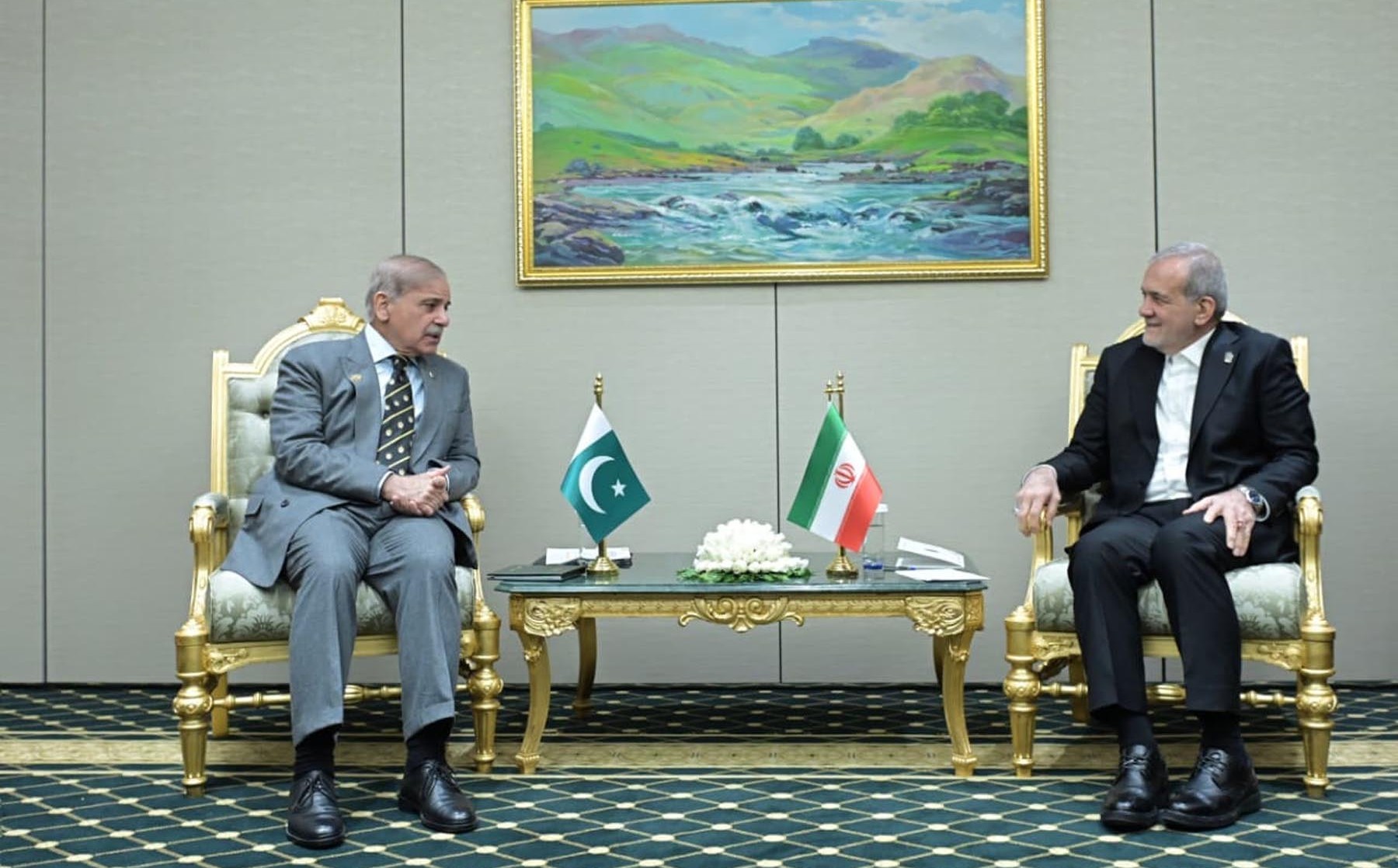 Prime Minister Shahbaz Sharif