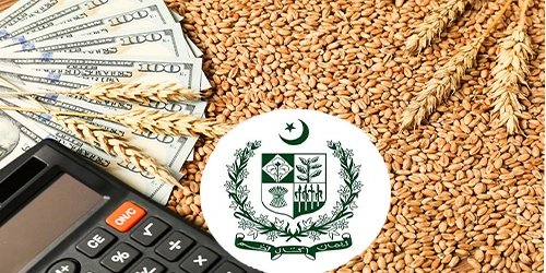 گندم کی خریداری کے عمل میں شفافیت، میرٹ اور تیزی کو یقینی بنانا محکمہ فوڈ کی اولین ذُمہ داری ہے،ڈپٹی ڈائریکٹر فوڈ سرگودھا