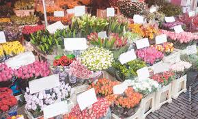 Floriculture in Sindh