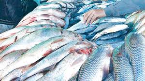 National exports of fish and fish products