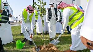 Saudi Arabia's national tree planting campaign