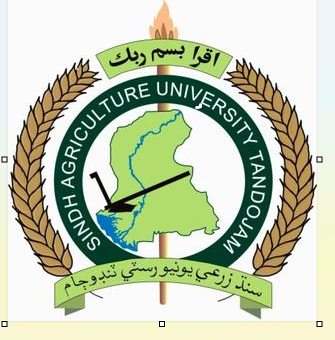 سندھ زرعی یونیورسٹی ٹنڈوجام میں انڈرگریجویٹ داخلوں کیلئے شفاف اور میرٹ پر مبنی نیا نظام متعارف کروا دیا گیا