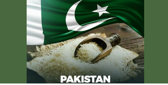 چاول کی برآمدات میں تاریخی اضافہ، پاکستان دنیا کا تیسرا بڑا برآمد کنندہ بن گیا، گلف نیوز کی رپورٹ