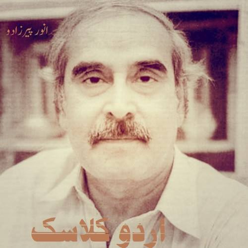 سندھ کے معروف ترقی پسند شاعر، محقق اور ادیب انور پیرزادہ کی سالگرہ منائی گئی
