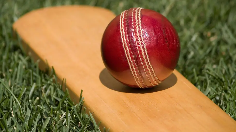 راولپنڈی،کرکٹ کے فروغ اور تنظیمی امور کو مزید مؤثر بنانے کے لیے مختلف کمیٹیاں تشکیل