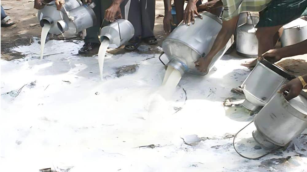 Substandard milk supply