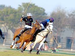 Diamond Paints Polo Cup