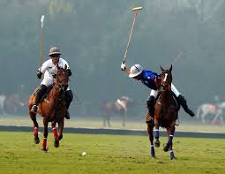 Jinnah Gold Polo Cup