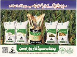 Punjab Seed Corporation