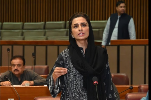 بلوچستان کے مسائل کو مقامی نظر سے دیکھنا ہوگا، حنا ربانی کھر