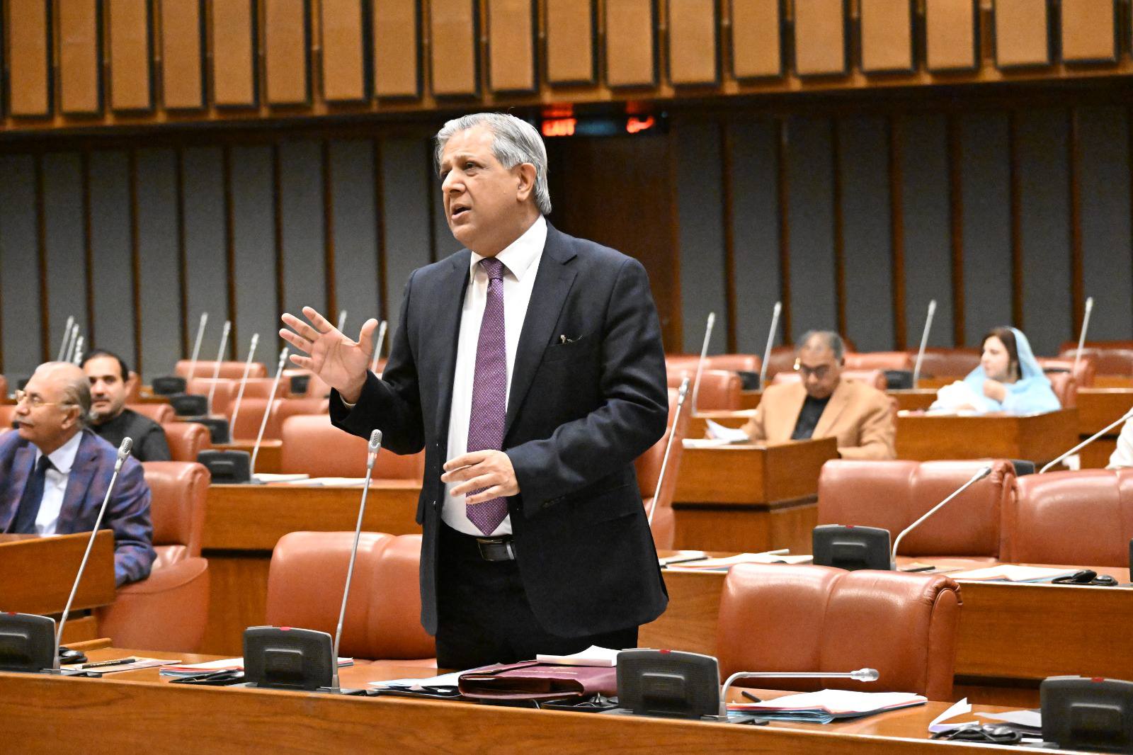 نادرا ترمیمی بل 2026 مزید غور و خوض کے لیے قائمہ کمیٹی برائے داخلہ کے سپرد