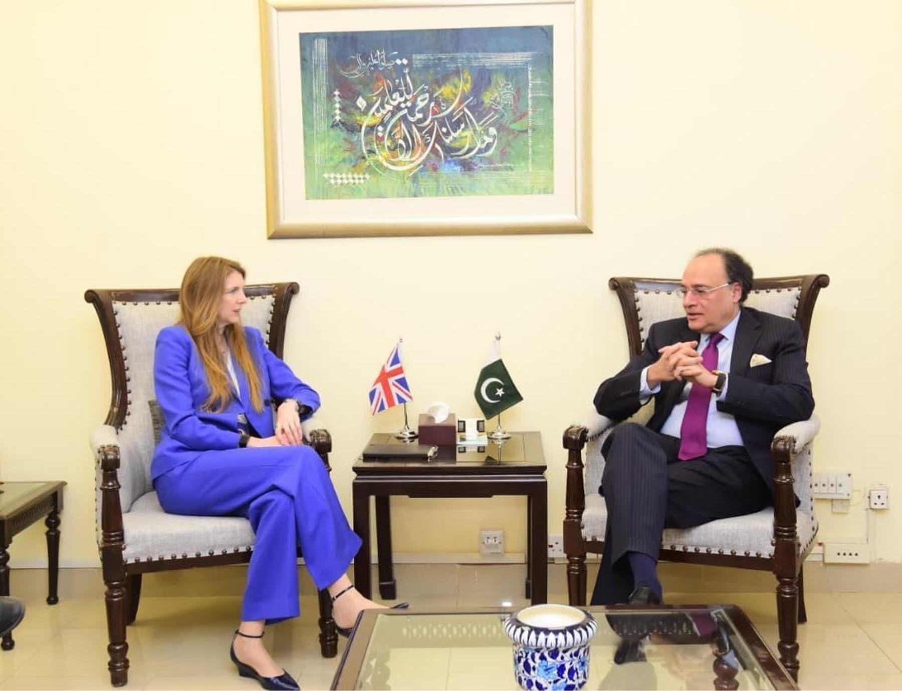 پاکستان کے پاس توانائی کے ذخائر اور رسد کے مناسب سطح پرانتظامات موجود ہیں،وزیر خزانہ سینیٹر محمد اورنگزیب کی برطانوی ہائی کمشنر سے ملاقات میں گفتگو