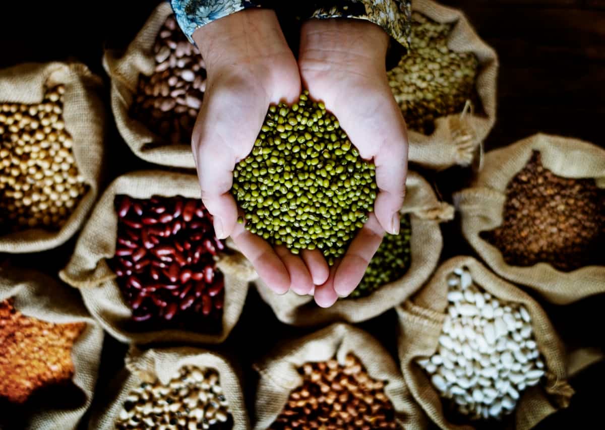 Pulses yield per acre