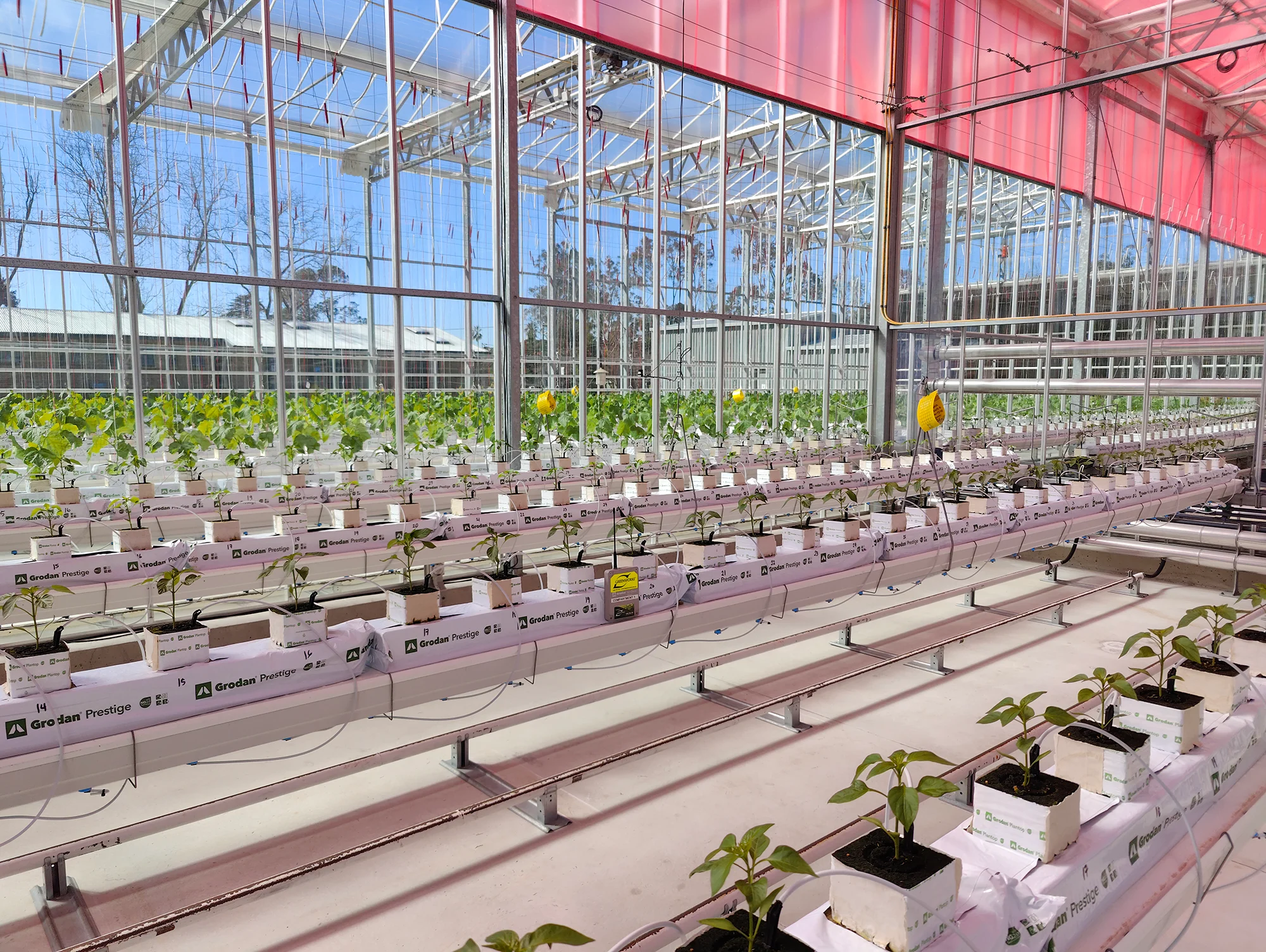 Smart Glasshouse