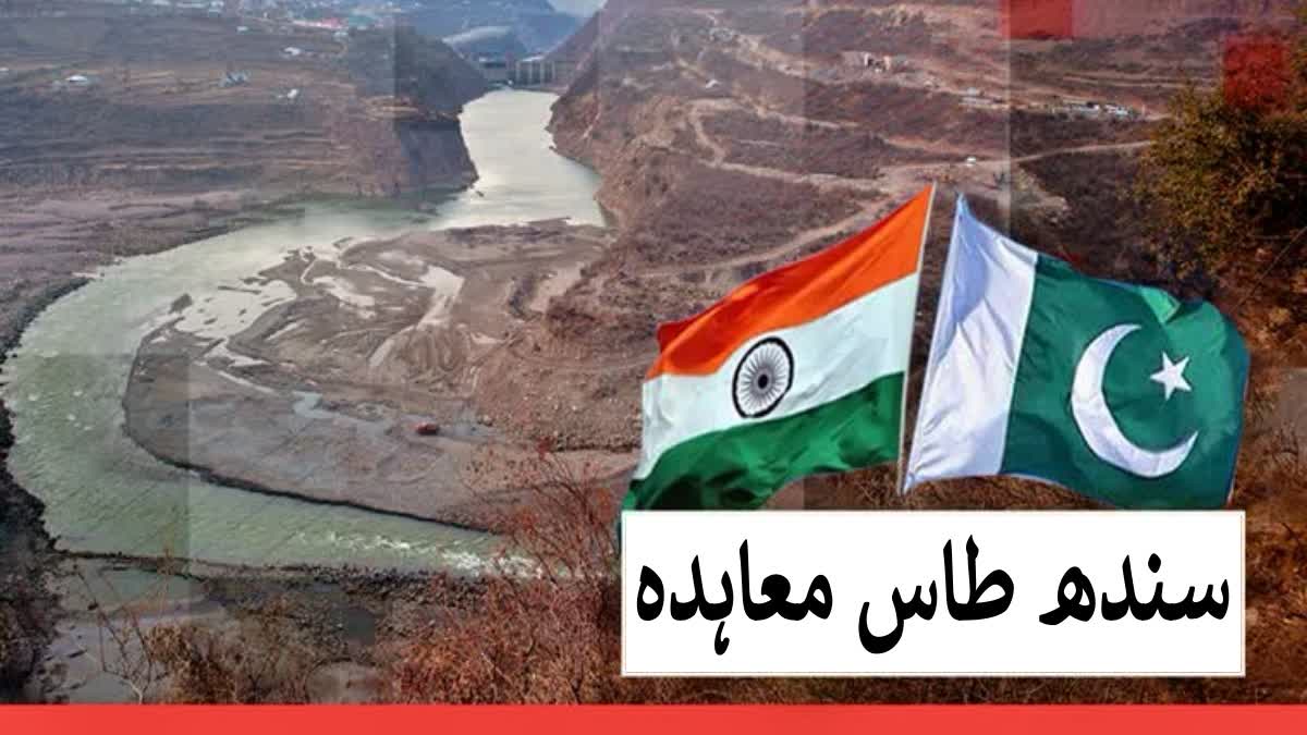 سندھ طاس معاہدے کی بھارتی خلاف ورزیاں، انسانی حقوق کی پامالی پر تشویش اور عالمی بینک سے مداخلت کے مطالبات میں اضافہ