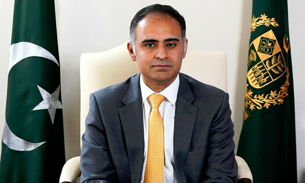 معاشی مشکلات کے باوجود ٹیکس کے بنیادی اہداف حاصل کرلیں گے،وزیر مملکت برائے خزانہ