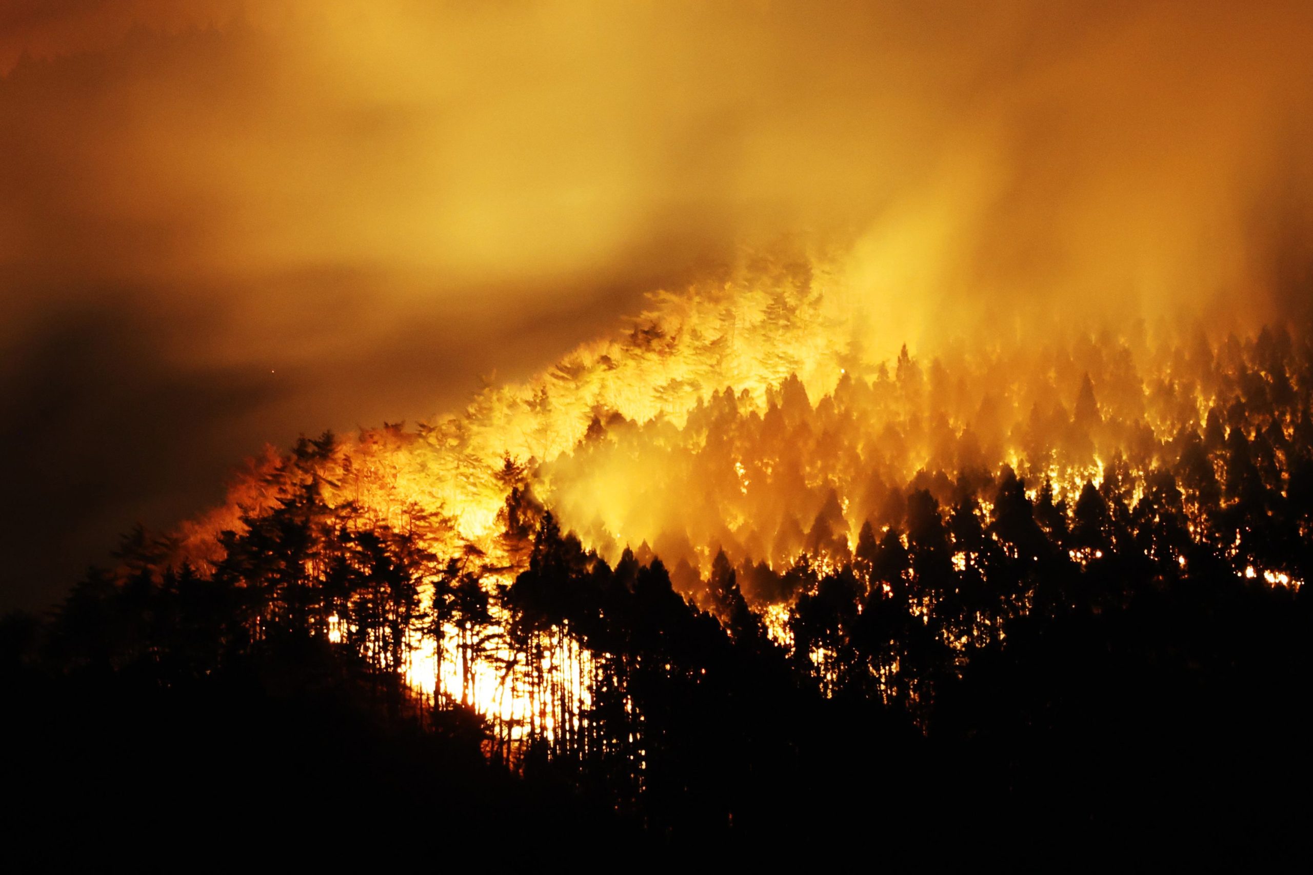 Horrific forest fires in Japan
