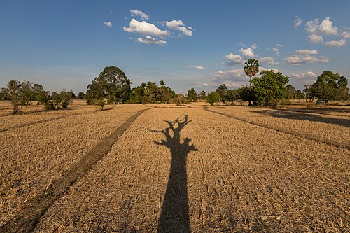 Dry weather