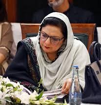 Member of National Assembly Shumaila Rana