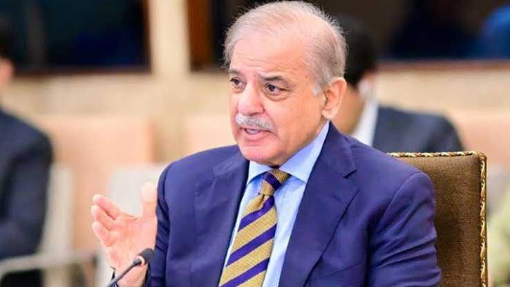 خصوصی سرمایہ کاری سہولت کونسل کے ذریعے سرمایہ کاروں کو تمام تر سہولیات کی فراہمی کے لئے کوشاں ہیں، وزیراعظم شہبازشریف