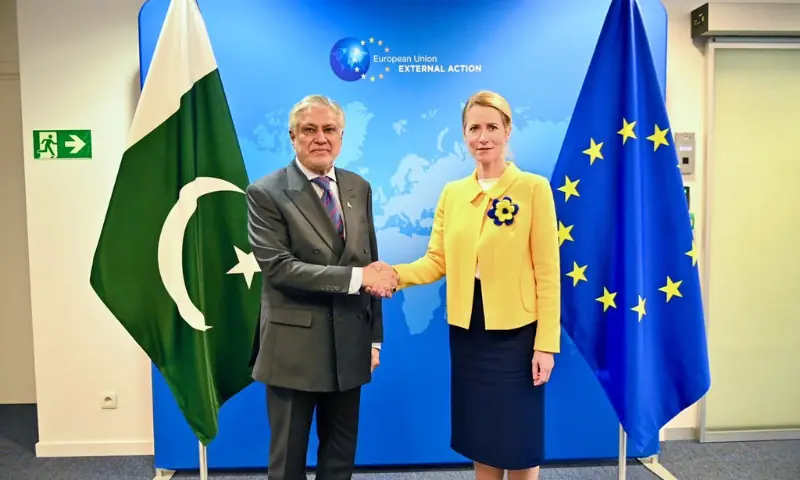 یورپی یونین کی اعلیٰ نمائندہ برائے خارجہ امور و سلامتی پالیسی/یورپی کمیشن کی نائب صدر یکم جون کو پاکستان کا سرکاری دورہ کریں گی،وزارت خارجہ