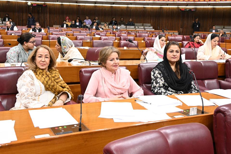 جلد کی غیرمعیاری کریموں کی روک تھام کیلئے جامع اقدامات کئے جا رہے ہیں،پارلیمانی سیکرٹری نگہت شکیل خان کا قومی اسمبلی میں جواب