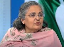 Pakistan's Ambassador Saqlain Syeda