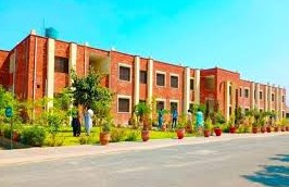 جامعہ تھل کی طالبہ عروج فاطمہ کا اعزاز