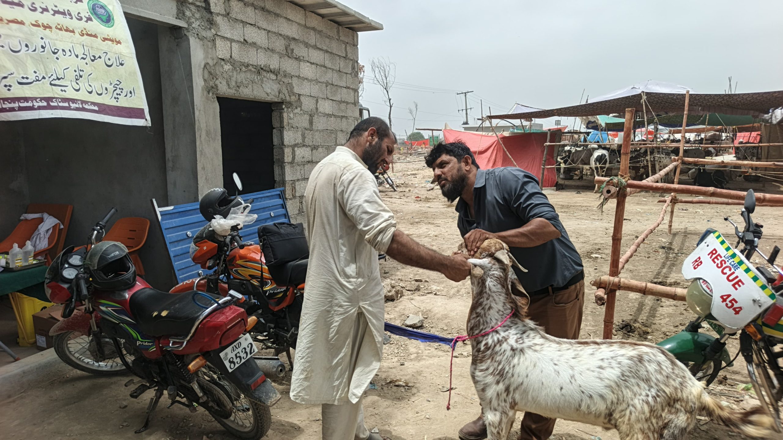 مویشی منڈیوں میں جانوروں کی صحت، علاج معالجہ اور بیماریوں سے بچاؤ کیلئے خصوصی انتظامات کئے گئے ،ڈاکٹر جاوید منیر