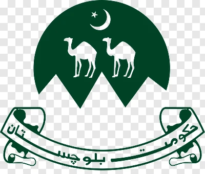 بلوچستان، جھل مگسی کے قریب بس حادثہ، حکومت نے تحقیقات کا اعلان کردیا