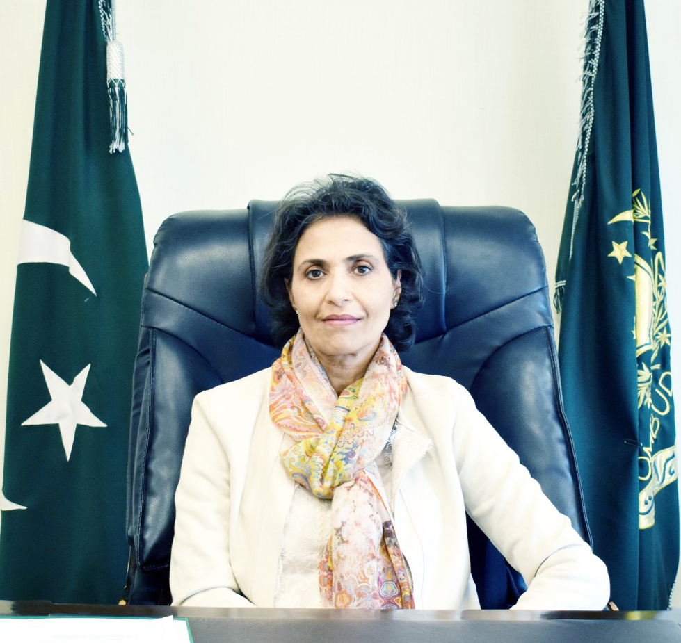 پاکستان نے 2022 میں انسدادِ ہراسانی قانون میں ترمیم کرتے ہوئے فری لانسرزاور ریموٹ ورکرز کو بھی قانونی تحفظ کے دائرے میں شامل کیا ہے ، وفاقی محتسب فوزیہ وقار