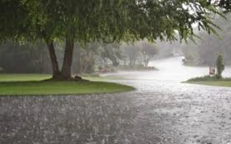 weather update
