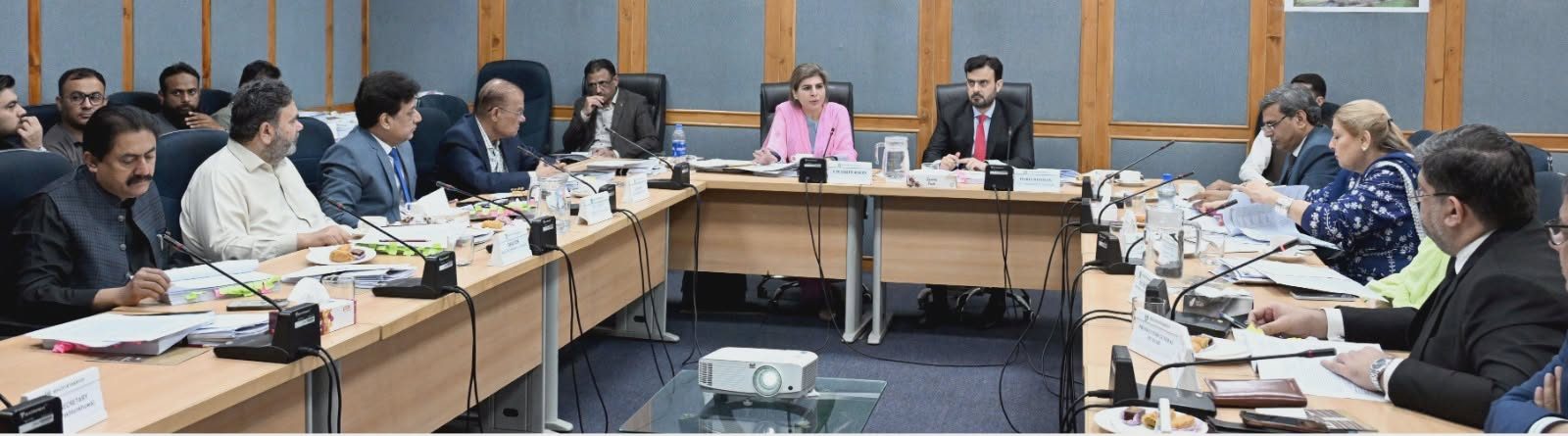 سینیٹ کی فنکشنل کمیٹی برائے انسانی حقوق کا اجلاس،غیرت کے نام پر قتل، جڑانوالہ واقعہ کی تحقیقات اور دیگر واقعات کا تفصیلی جائزہ لیا