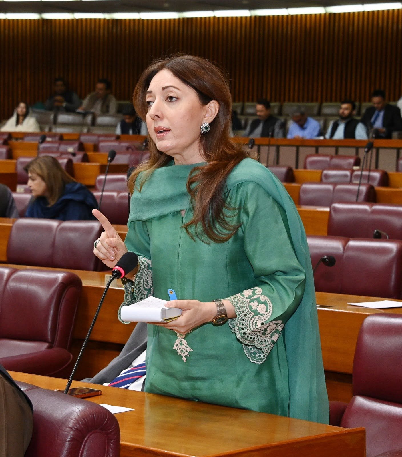 دریائوں پر آبی ذخائر بنا کر بھارت ہمارے حصے کا پانی روکنے کی سازش کر رہا ہے، بجٹ میں آبی ذخائر کیلئے مختص رقم میں اضافہ کیا جائے، ارکان قومی اسمبلی