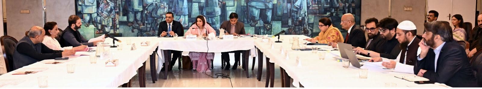 سینیٹ کی قائمہ کمیٹی آئی ٹی کا ٹیلی کمیونیکیشن (تنظیم نو) ترمیمی بل 2026 پر غور، نجی املاک کے حقوق سے متعلق شقوں کا مزید جائزہ لینے کا فیصلہ