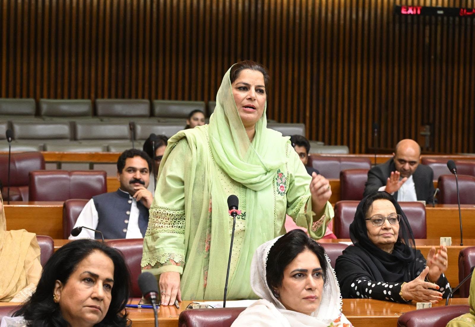 وفاقی بجٹ میں تعلیم حکومت کی اولین ترجیح ہے، رابعہ نسیم فاروقی