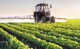 Agricultural sector rate