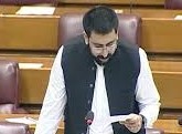 Parliamentary Secretary for Defense Raja Osama Sarwar