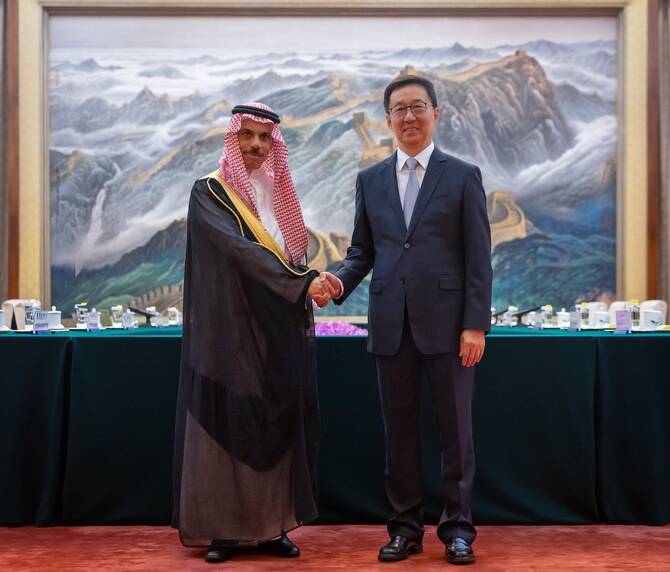 Chinese Vice President