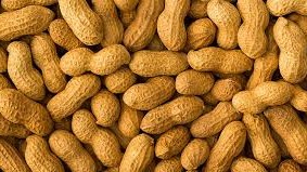 peanuts