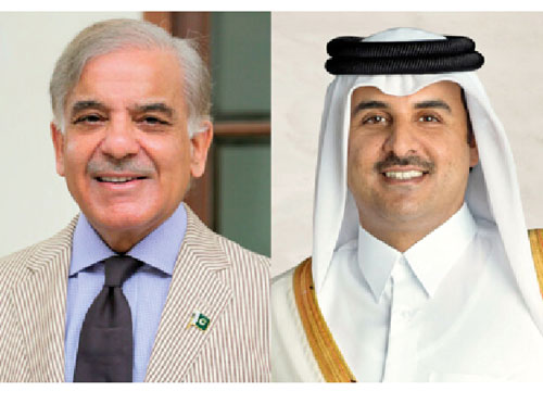 Prime Minister Muhammad Shehbaz