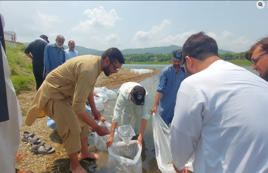 Khyber Pakhtunkhwa Fisheries,