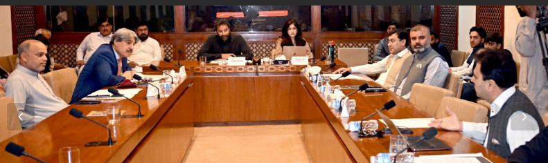 Senate Subcommittee, Kashmir Affairs,