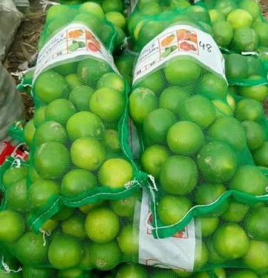 میٹھے کی فروخت
