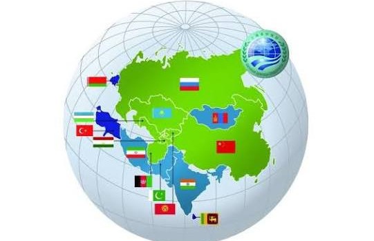 شنگھائی تعاون تنظیم